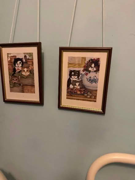 Photo of free Two pictures of cats (AB24) #1