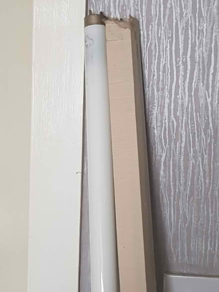 Photo of free 6ft fluorescent light bulbs (Stannington S6) #1