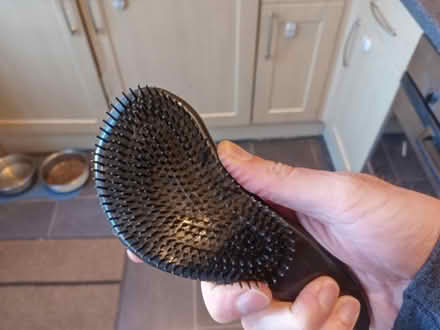 Photo of free Detangling brush (Harton, NE34) #3