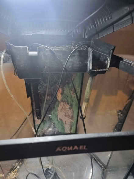 Photo of free Fish tank #2 (outwood RH1) #3
