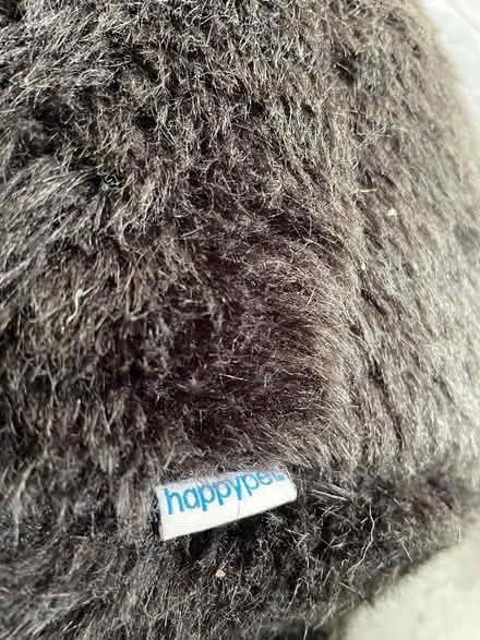 Photo of free Chimp dog toy (North Ascot SL5) #3