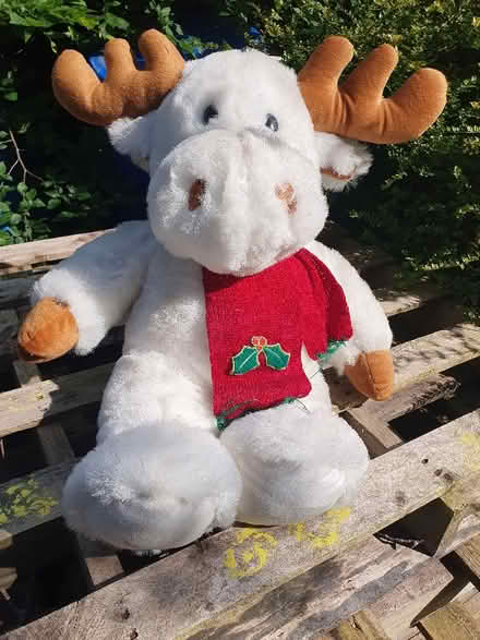 Photo of free Large stuffed Xmas reindeer (Gayton CH60) #1