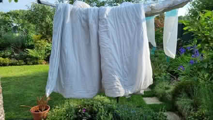 Photo of free 12tog King size hollow fibre duvet (Dunkeswell EX14) #1