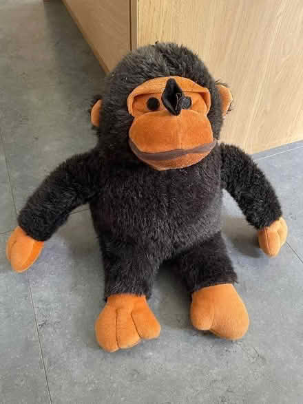 Photo of free Chimp dog toy (North Ascot SL5) #1