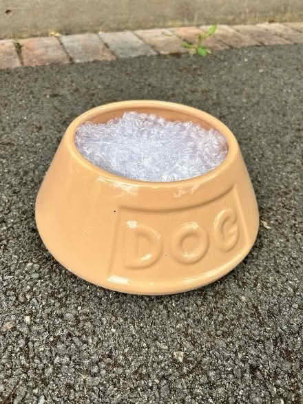 Photo of free Dog water bowl (Chorley SK9) #1