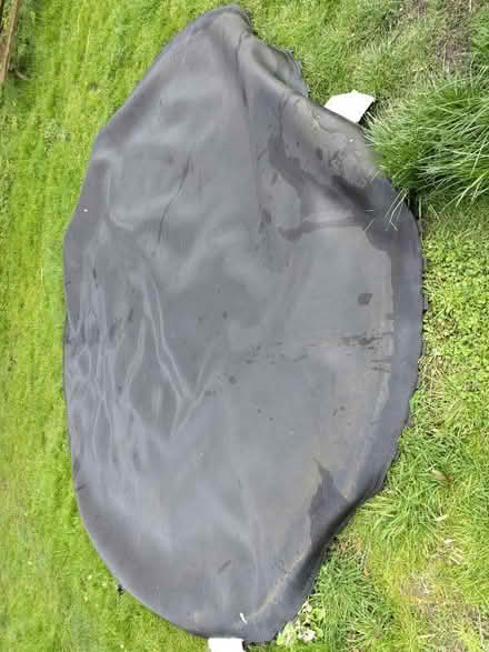 Photo of free 12' Diameter Trampoline Mat for Mulching? (Morley St Botolph NR18) #1
