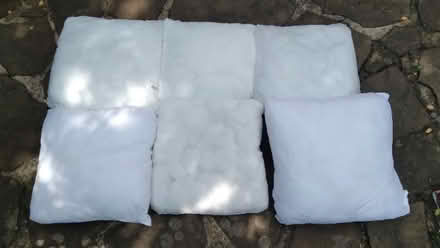Photo of free 6 Cushion inserts (East Croydon CR0) #1