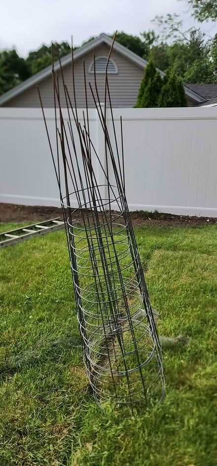 Photo of free Galvanized Wire Round Tomato Cages (Peabody) #1