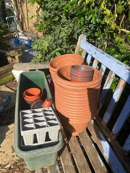 Photo of free Plant pots (March) #2