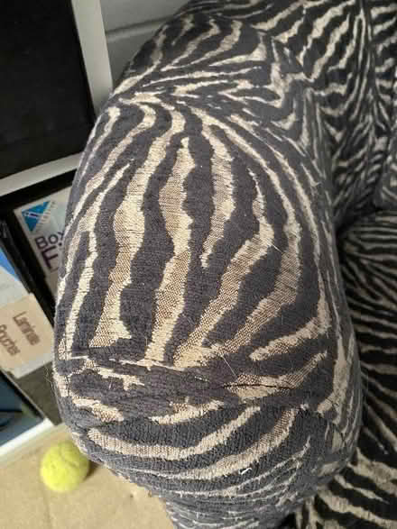 Photo of free Round Sofa Chair (Olympus Business Park GL2) #4