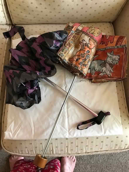 Photo of free 2 x small umbrellas (Gosport PO12) #1
