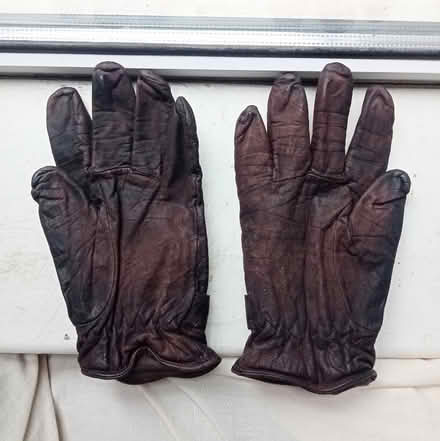 Photo of free Leather Gloves (PL4) #2