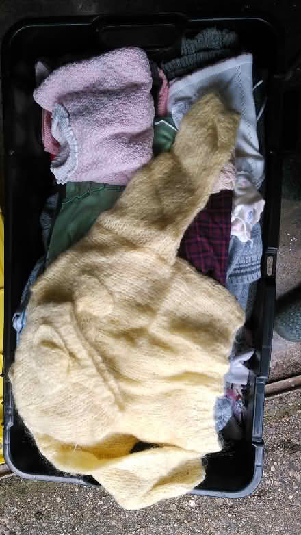 Photo of free Collection of toddler clothes (Lampton TW3) #2