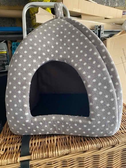 Photo of free Cat house (Furze Platt SL6) #1