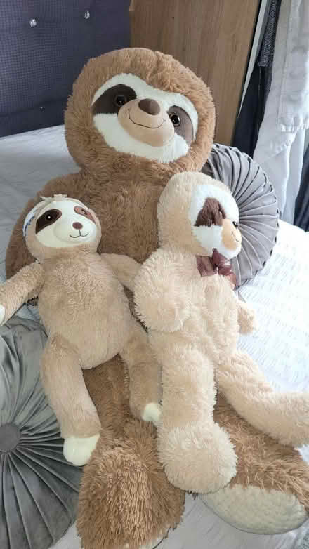 Photo of free Sloth Teddies (Tile Hill Coventry) #1