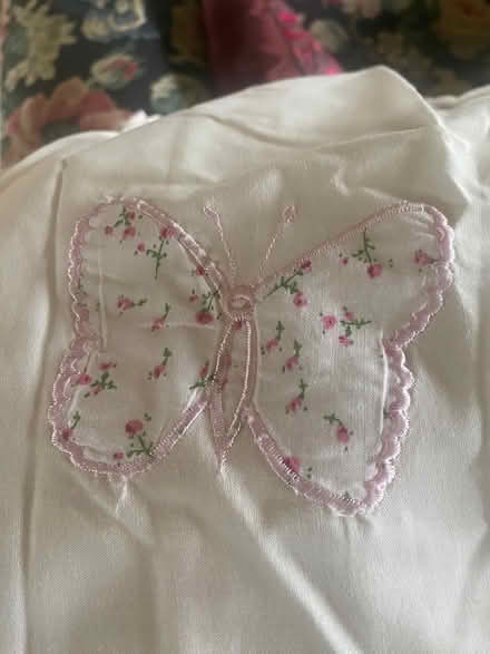 Photo of free Bella butterfly curtains (Sandway) #2