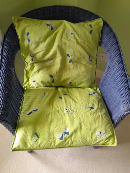 Photo of free Cushions (Buggs Bottom RG4) #1