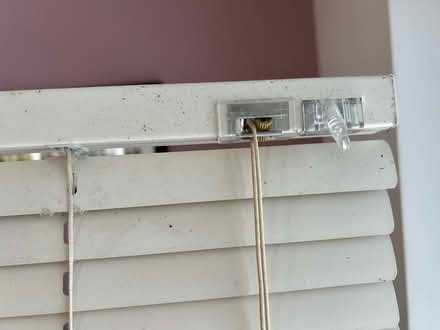 Photo of free Cream blind (Holbrook, Belper, DE56) #2