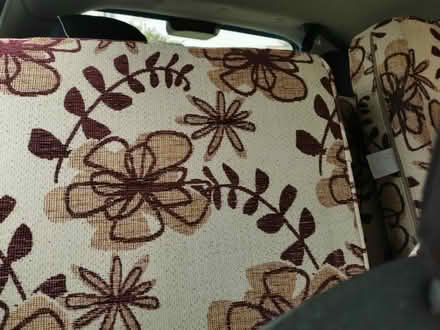 Photo of free Conservatory furniture cushions (Adeyfield. HP2) #2