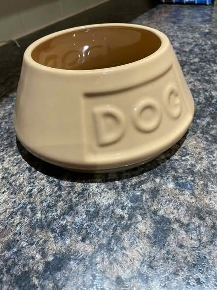 Photo of free Mason Cash ceramic dog bowl (West End Village SO30) #1