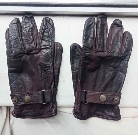Photo of free Leather Gloves (PL4) #1