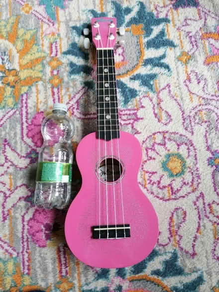 Photo of free Pink Ukulele (Tottenham N17) #1