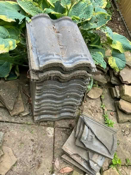 Photo of free Roof tiles (Bishops Waltham SO32) #2