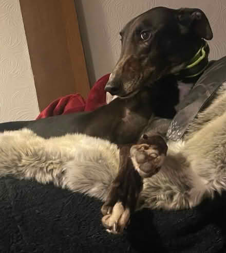 Photo of 15”/16” square cushion covers (Sheringham NR26) #2