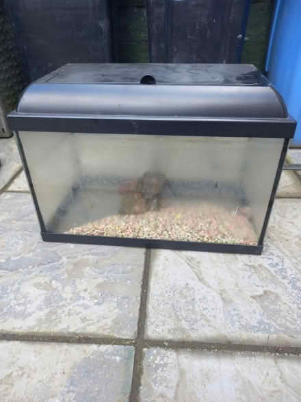 Photo of free Fish tank (SK3) #1