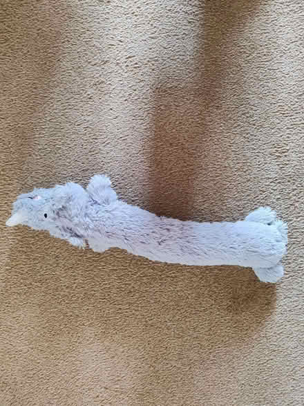 Photo of free Various Doggy Things (BS24) #1