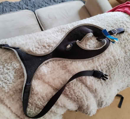 Photo of free Dog Harness (BS24) #1