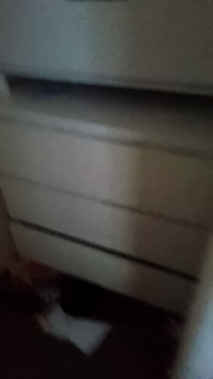 Photo of free shelves and drawers (W13) #3