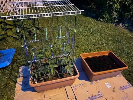 Photo of Plastic buckets (Rowlesburg WV) #1