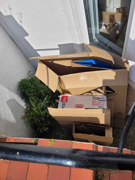 Photo of free Boxes for moving (BN1) #2