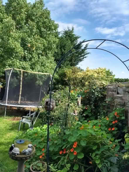 Photo of free Trampoline (Loughton IG10) #1