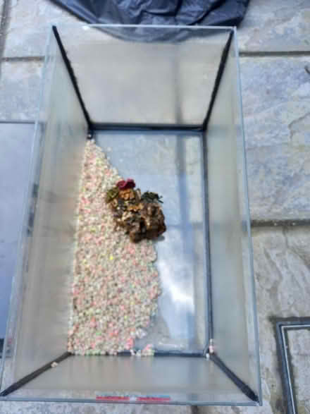 Photo of free Fish tank (SK3) #2