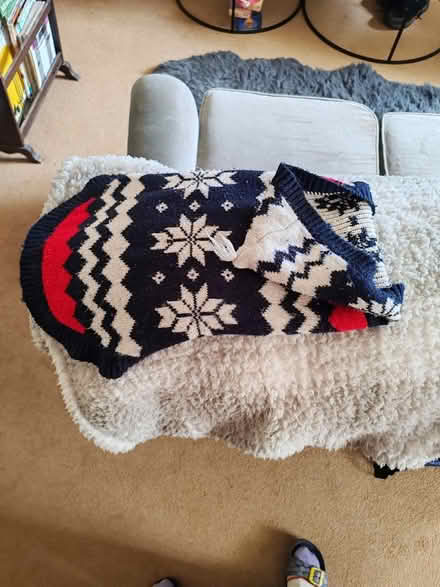 Photo of free Small Dog Jumpers (BS24) #2