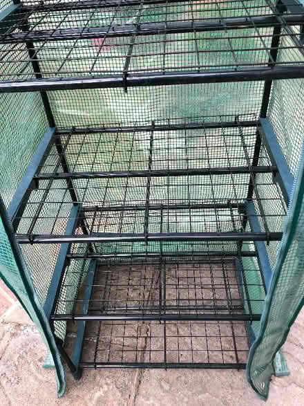 Photo of free Mini greenhouse (Hook Heath GU22) #4