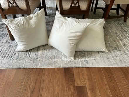 Photo of free Feather pillow inserts (Reston - Vienna) #1