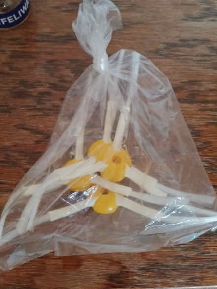Photo of free Four spare brushes for Roomba (IP1) #1