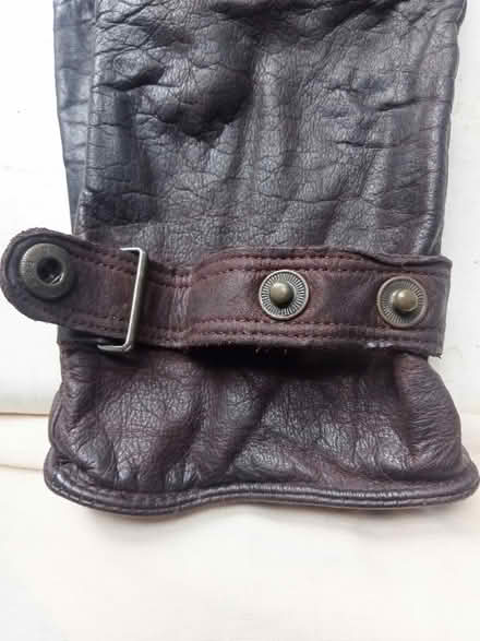 Photo of free Leather Gloves (PL4) #3