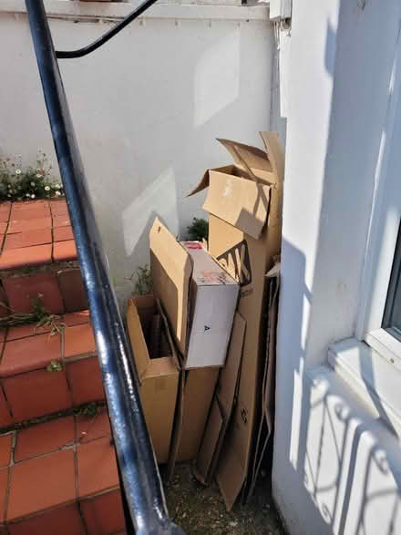 Photo of free Boxes for moving (BN1) #1