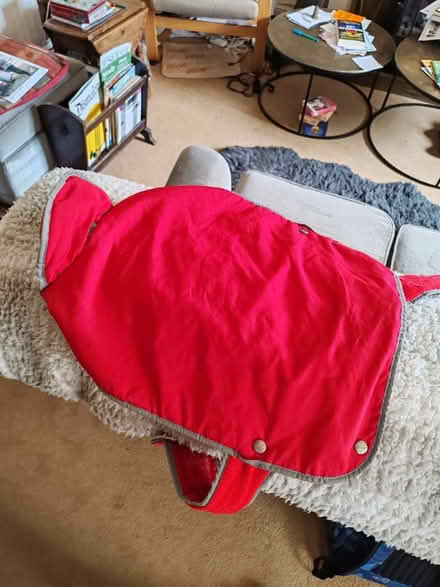 Photo of free Medium Dog Jumpers and a Coat (BS24) #2