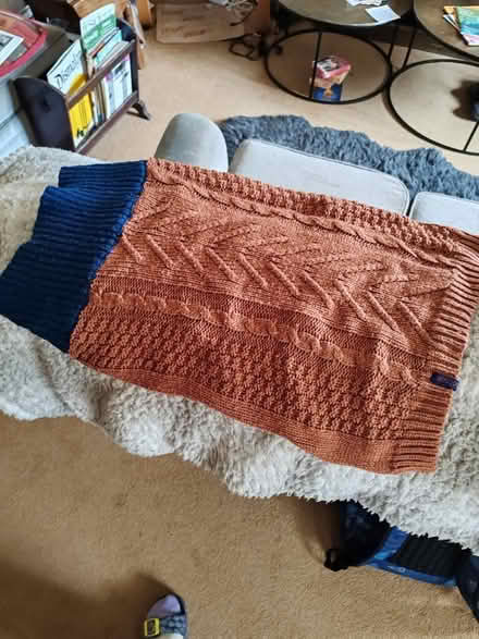 Photo of free Medium Dog Jumpers and a Coat (BS24) #1