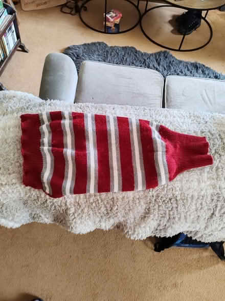 Photo of free Small Dog Jumpers (BS24) #1