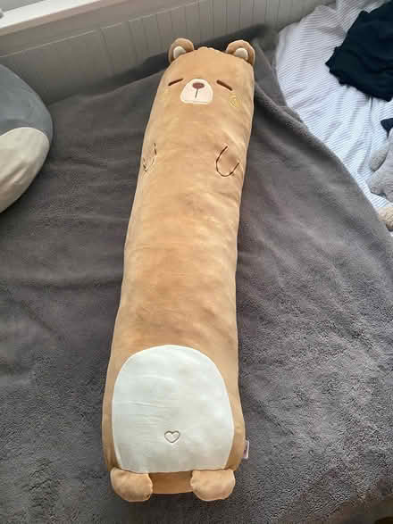 Photo of free Soft long bear pillow (Harpenden AL5) #1
