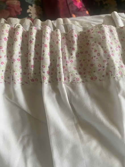Photo of free Bella butterfly curtains (Sandway) #1