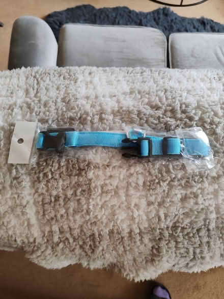 Photo of free Various Doggy Things (BS24) #2
