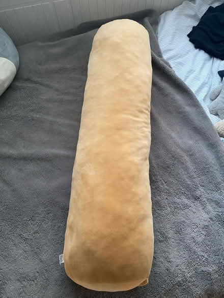 Photo of free Soft long bear pillow (Harpenden AL5) #2