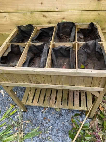 Photo of free Garden herb planter (TQ2) #2